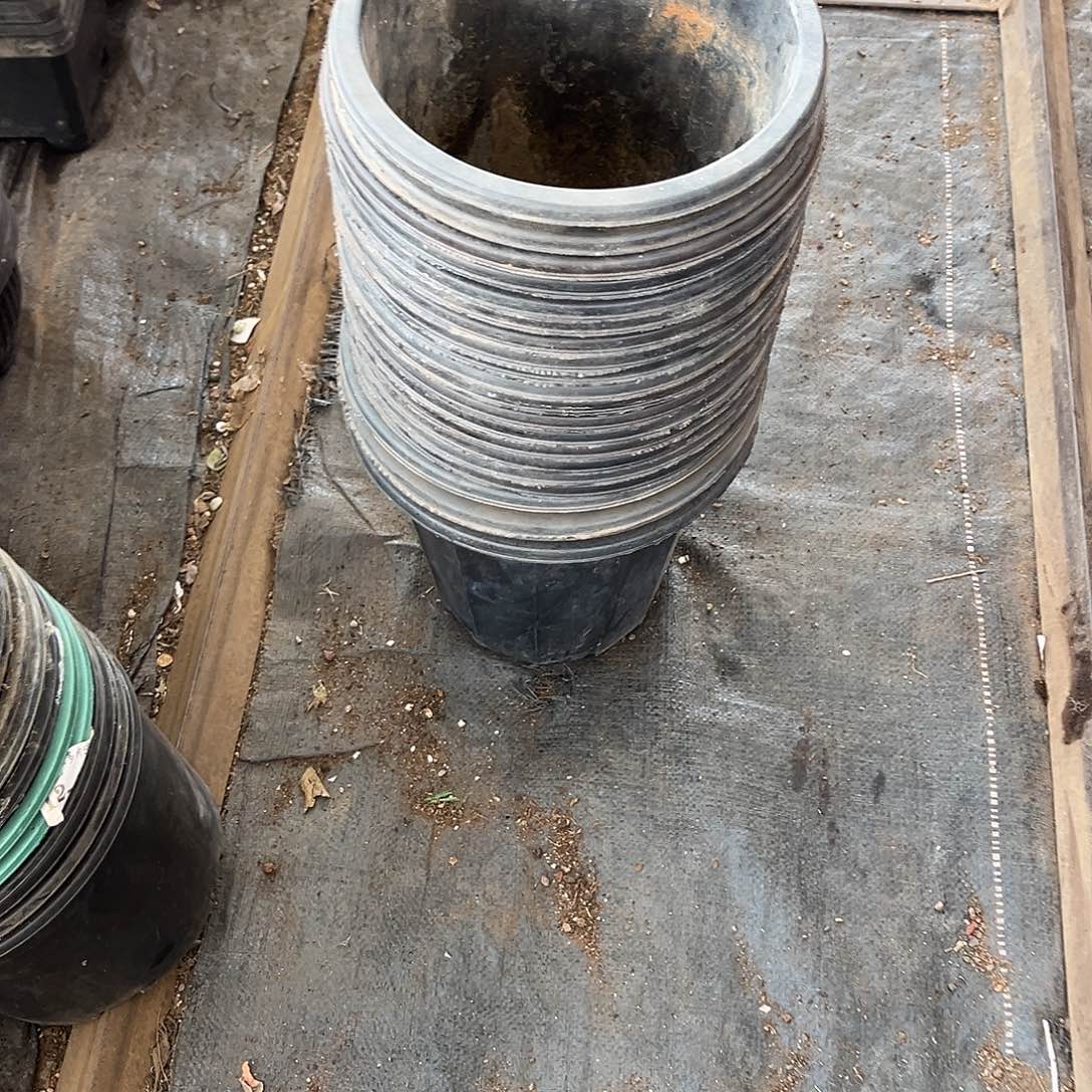 旧口径23-20黑砖盆21个