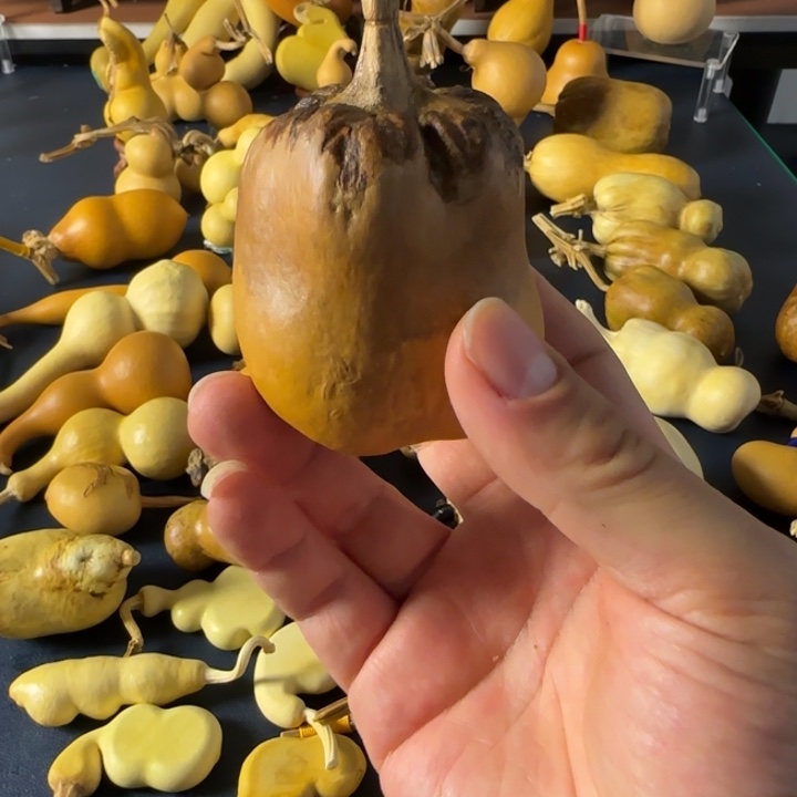 幸***福双方还就看见就会给哥哥哥哥好