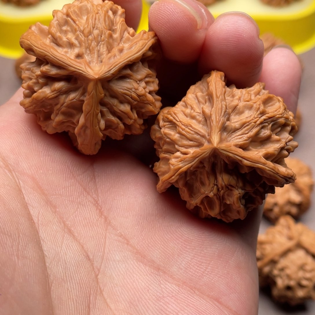 文玩核桃把件核桃