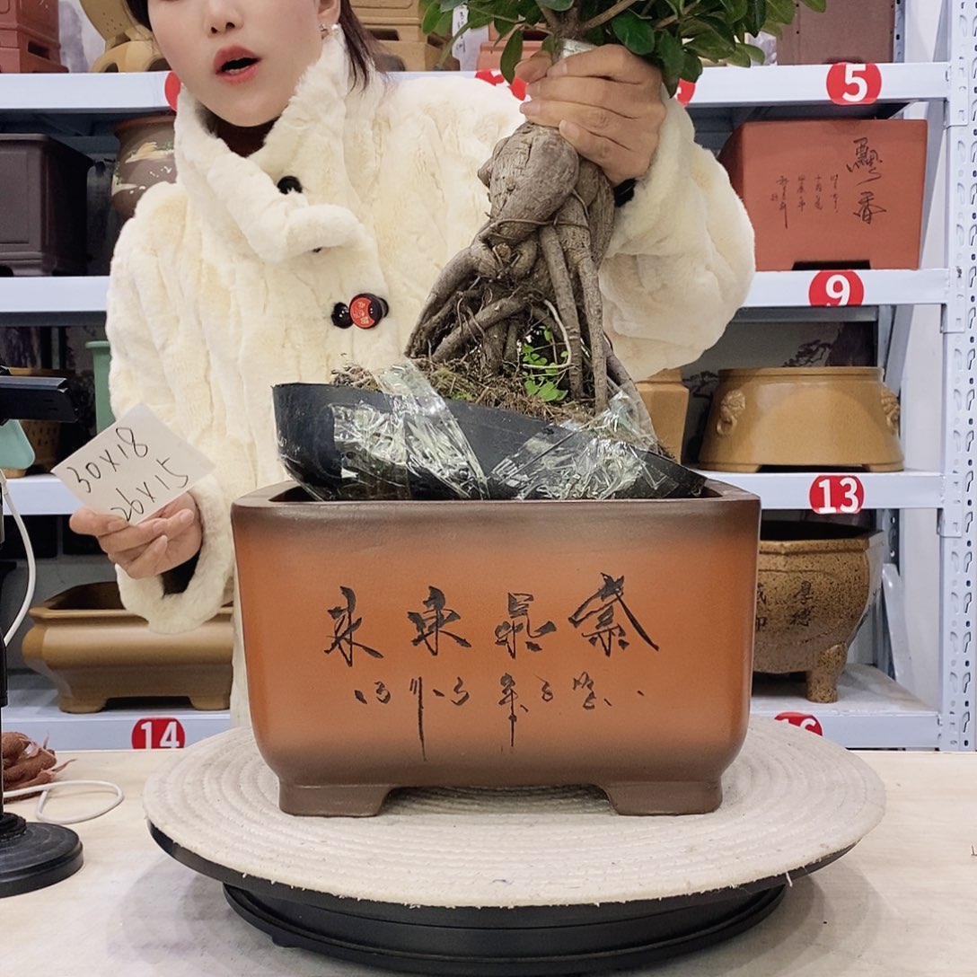 紫砂花盆紫砂花盆