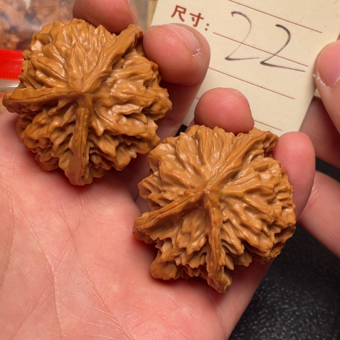 文玩核桃把件于*洋三棱生命之源46尺22