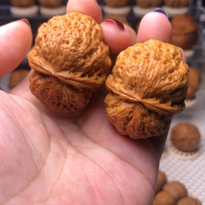 文玩核桃把件2虎头门墩42尺