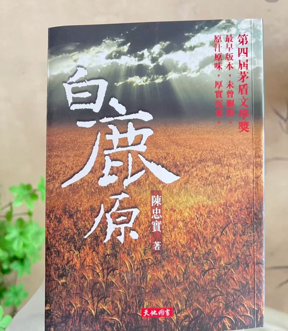 白鹿原  文学小说 陈忠实