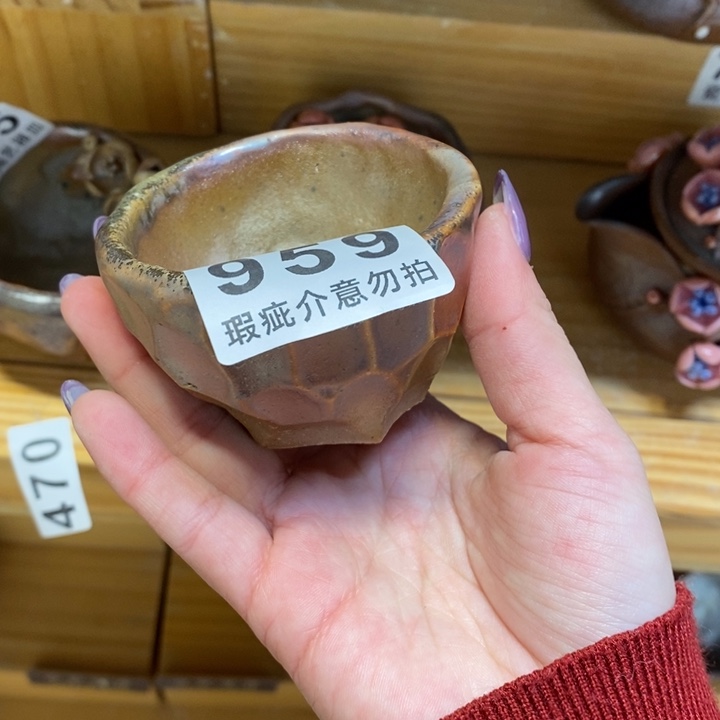 杯柴烧肉等特色菜谱和