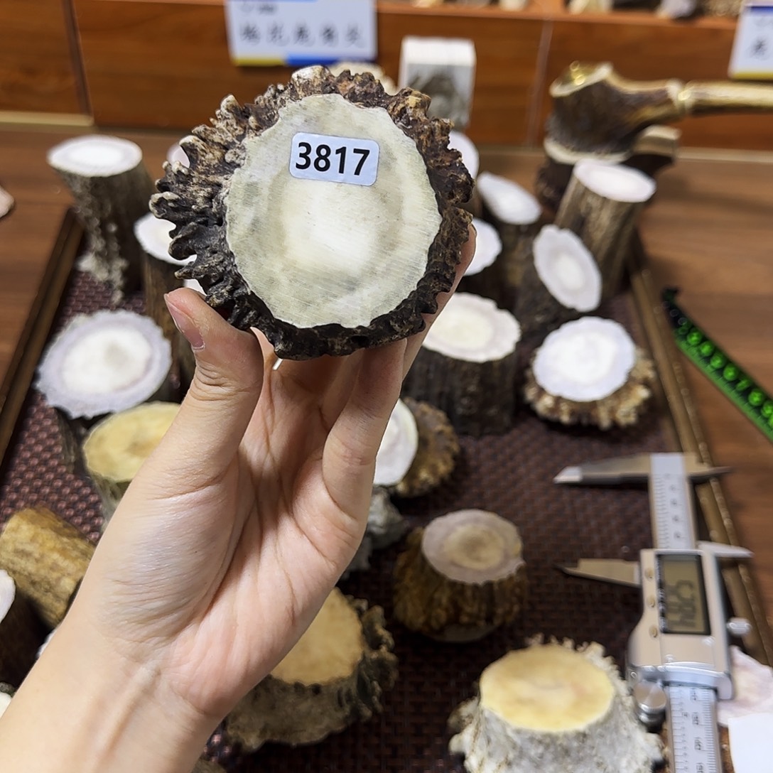 手串/手链鹿骨3817角帽