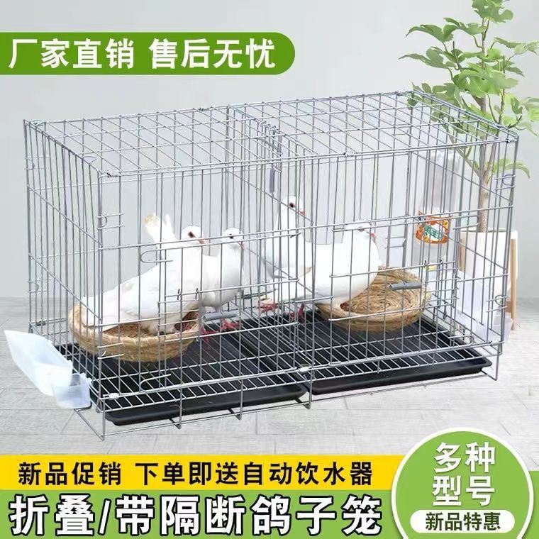 鸽子笼配对笼带隔断双层繁殖养殖笼肉鸽笼防逃脱设计家用折叠笼