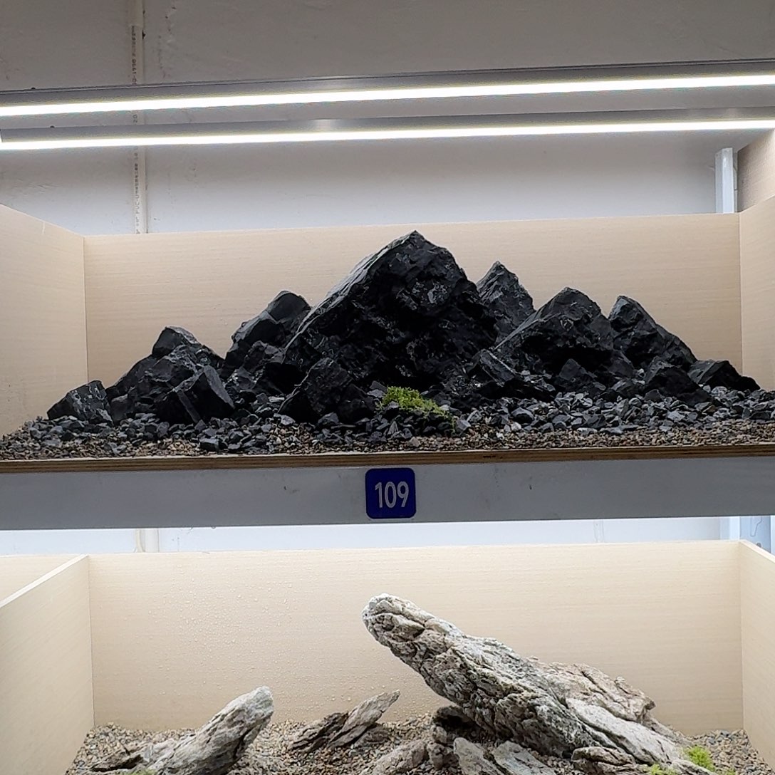 109号造景送45斤底沙