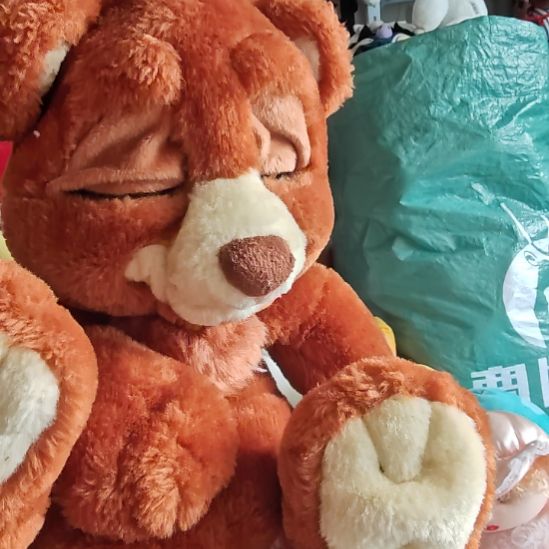 带功能小熊带功能小熊带功能小熊带功能小熊带功能小熊带功能小熊