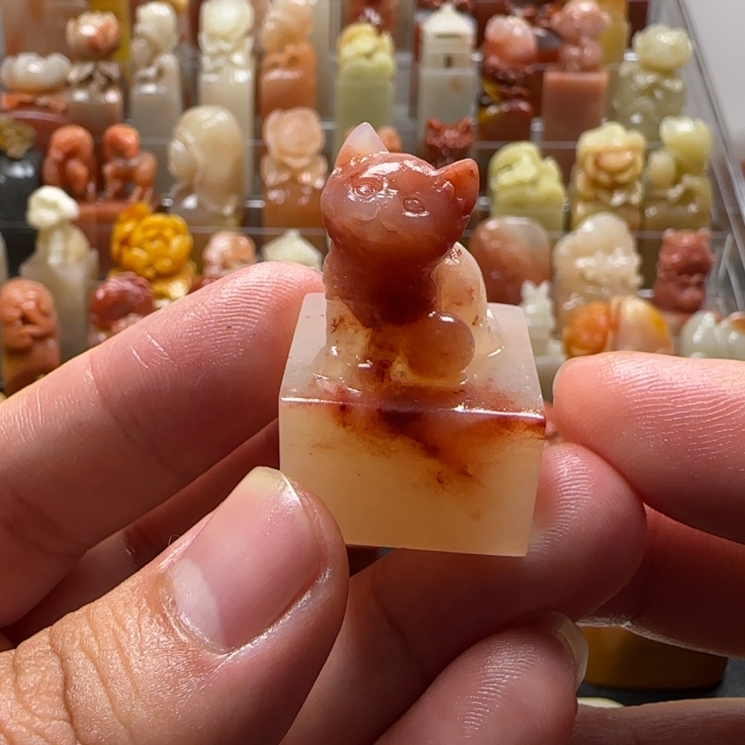 老挝石猫猫  2.2×3.6