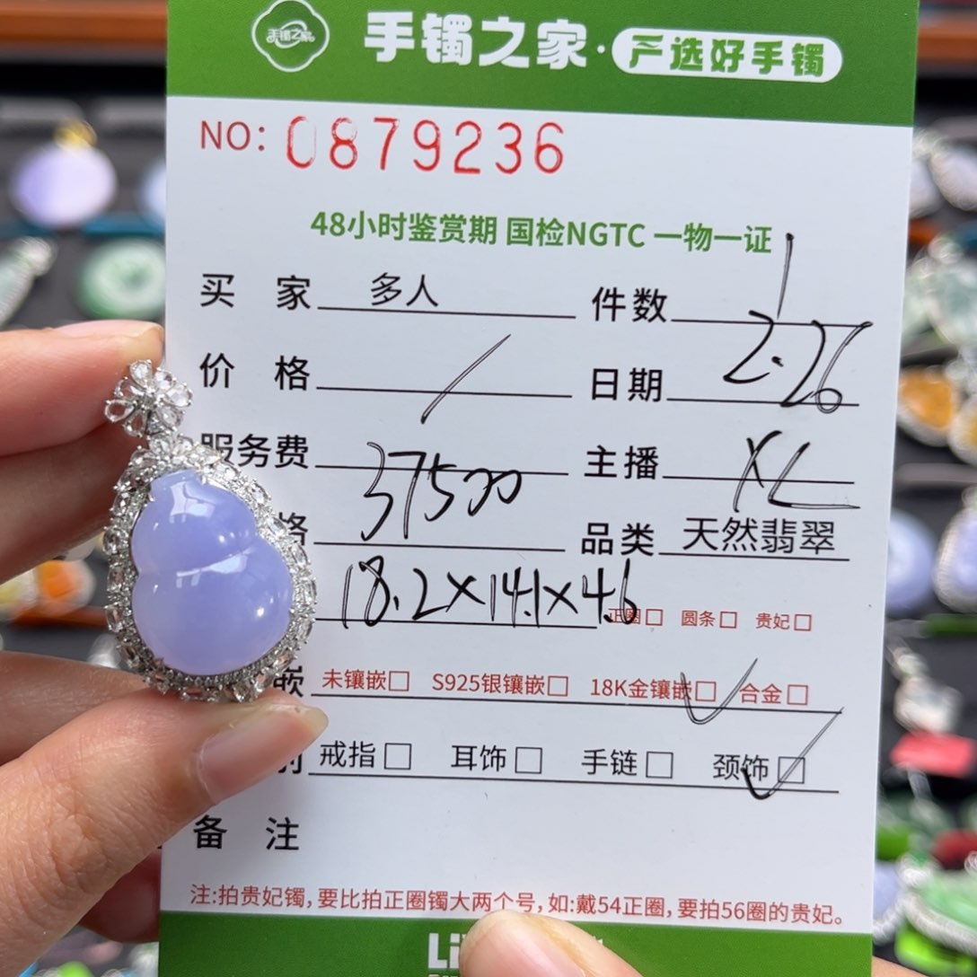 【闪购商品】翡翠颈饰18K金镶嵌多人