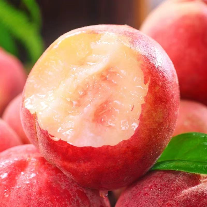 【产地直发】山东蒙阴金秋蜜桃新鲜现摘爆甜多汁当季水果