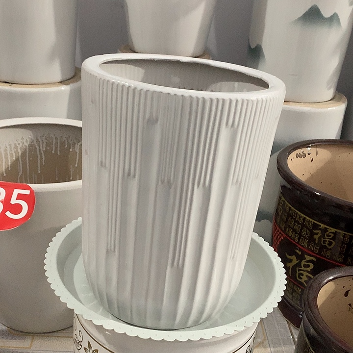 白音符一个高33口径26送托盘默认微瑕