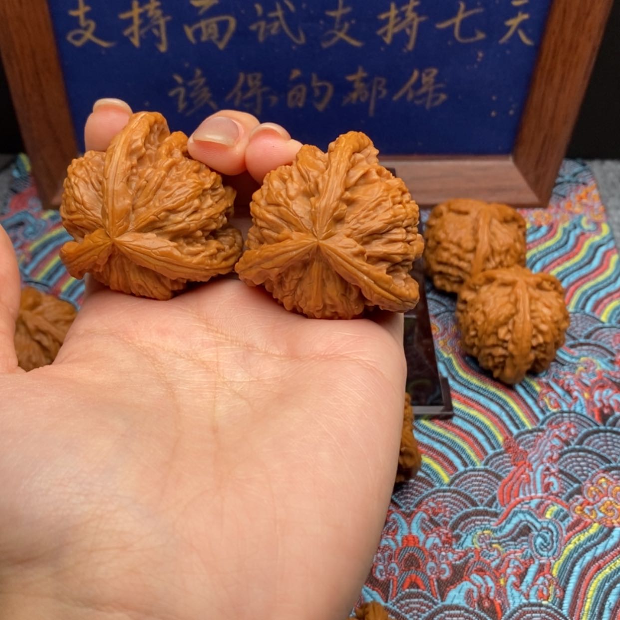 【闪购商品】拐*弯白狮