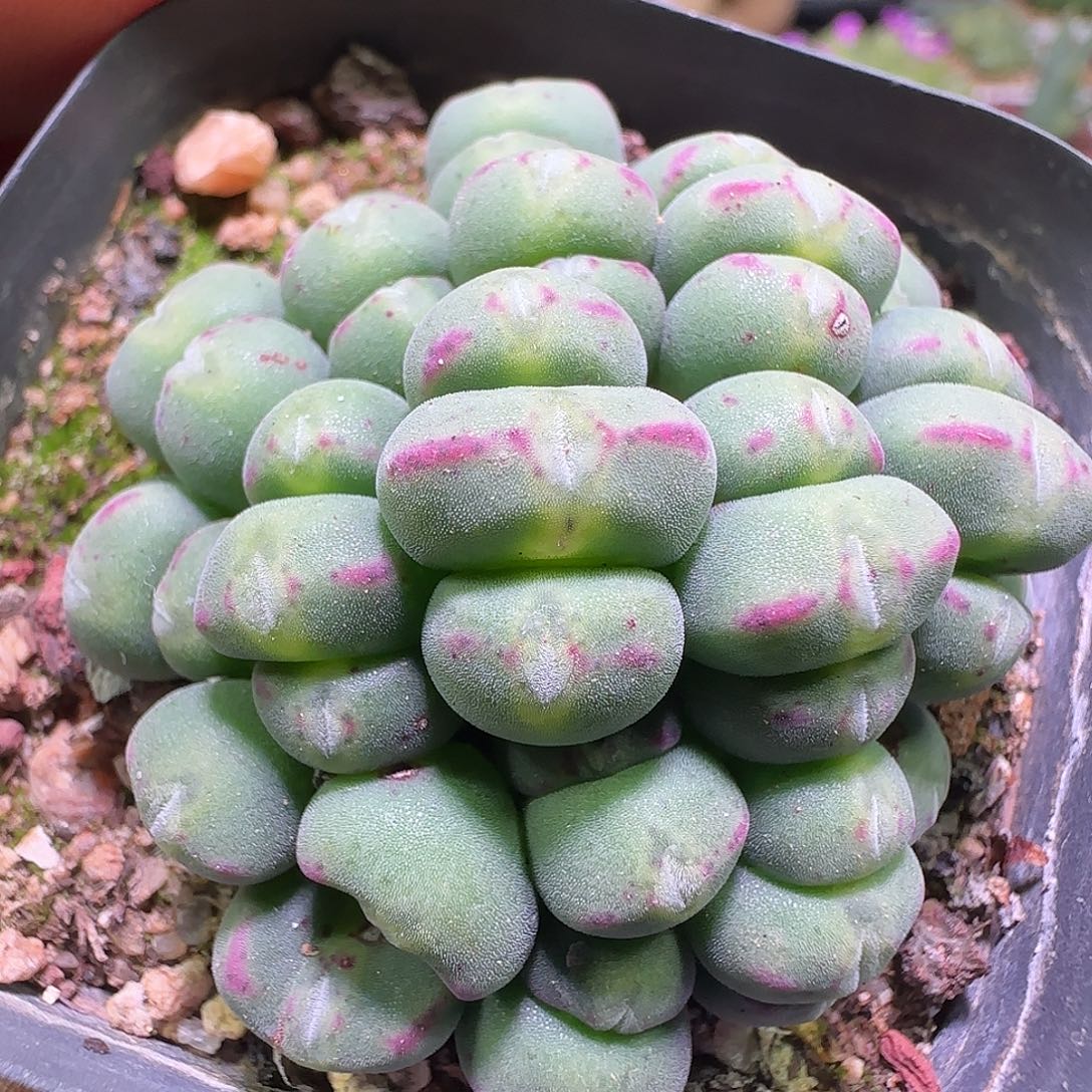 特价。                   143