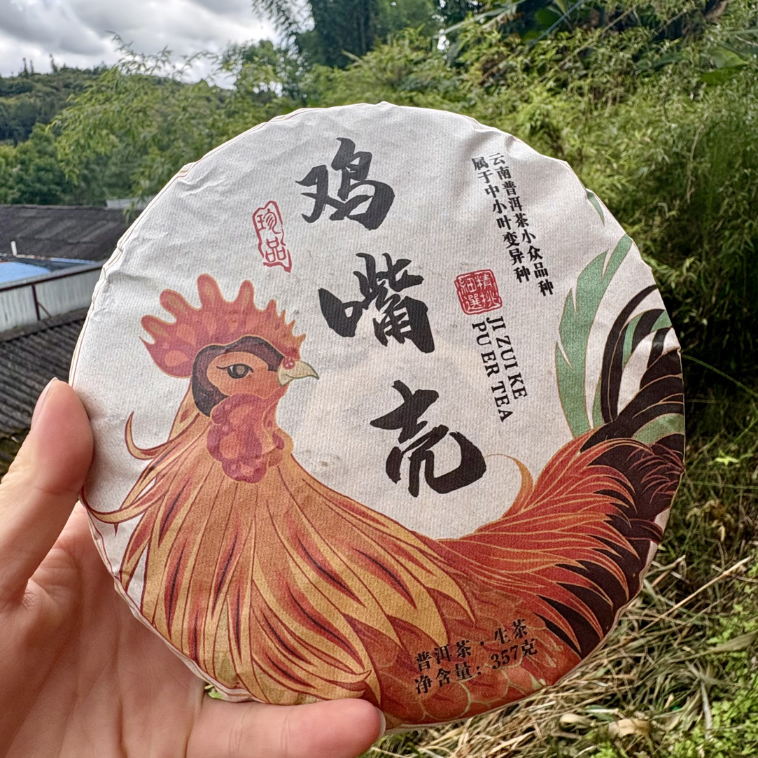 鸡嘴壳 中小叶变异种 普洱茶生茶357克