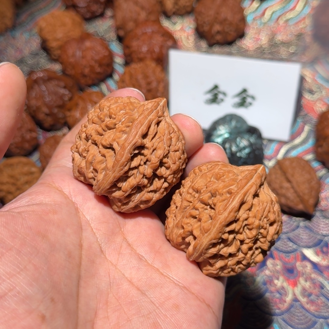 文玩核桃把件1895大蒜头，尺寸39 42 44.5