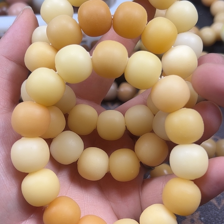 吊坠菩提根/象牙果