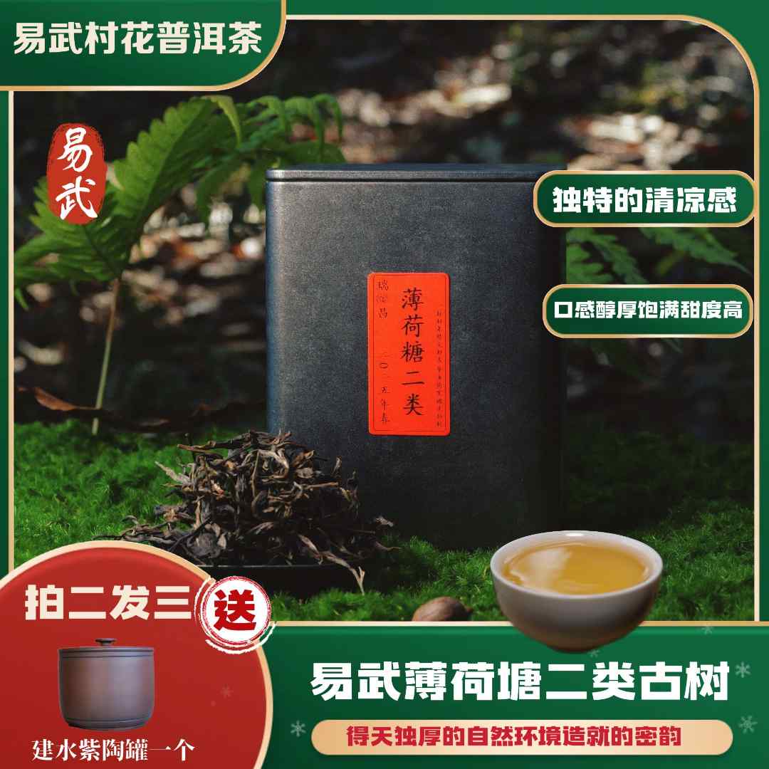 2025年薄荷塘【2类】古树头春头采茶100克散茶