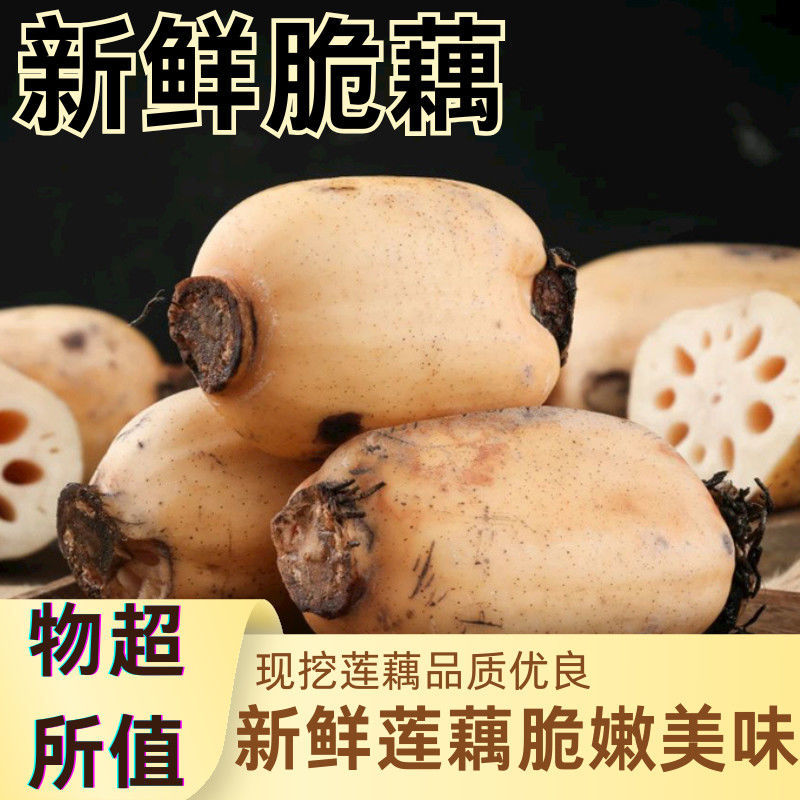 拍三斤送2斤粉丝福利白莲藕（三通一达，推荐：煲汤）