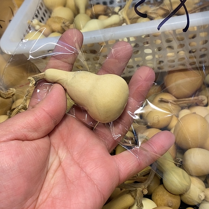 大***虎精品葫芦手把葫芦83