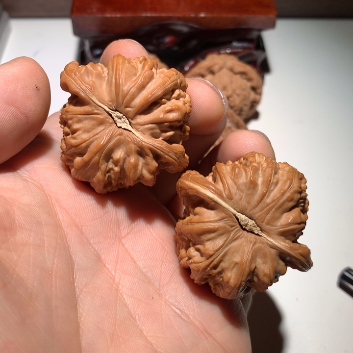 把件文玩核桃陳*辰白狮子