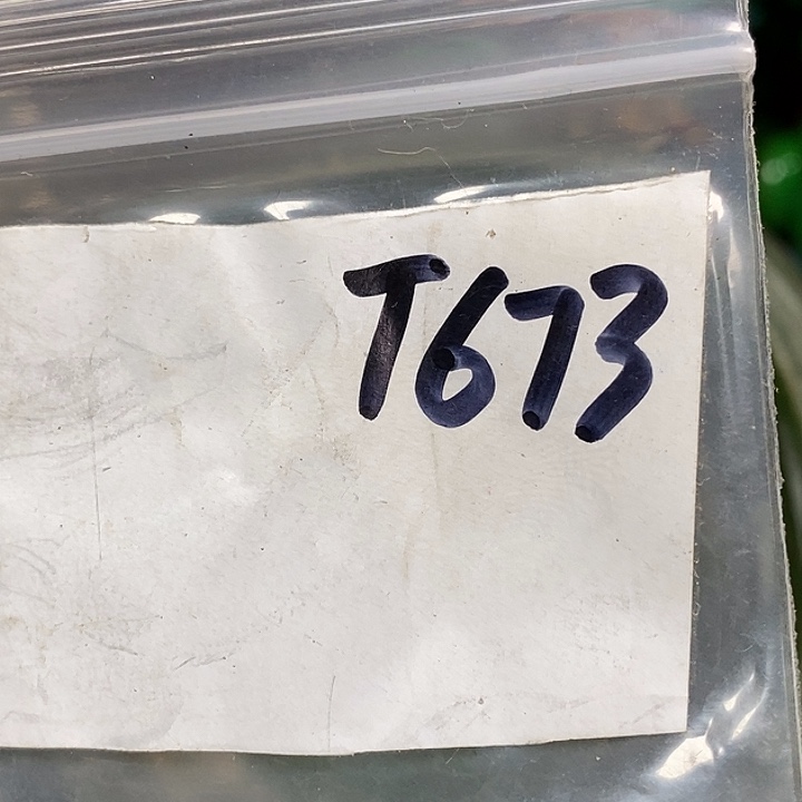 风***情德宝文玩专属链接