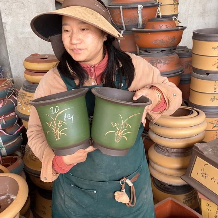 紫砂花盆盆栽花卉苗木种植