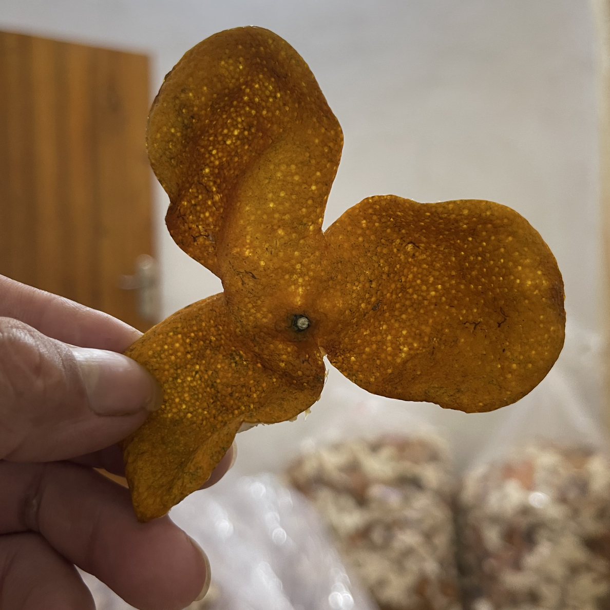 纯天然晒中小果大红皮，广西浦北陈皮