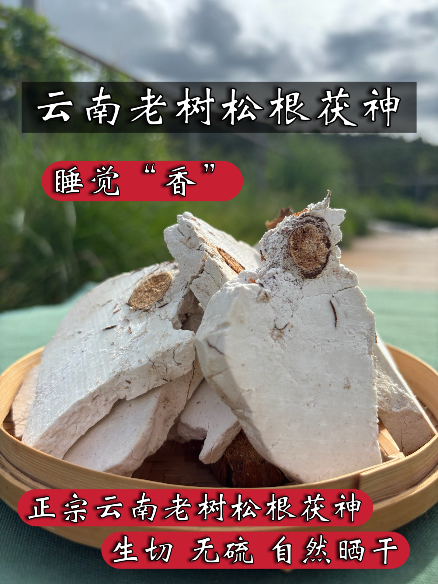 云南深山老树松根精选无硫生切茯神块带木心整片煲汤