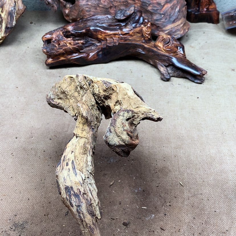 【闪购商品】黄花梨/降香黄檀大****赐原材料供应充足