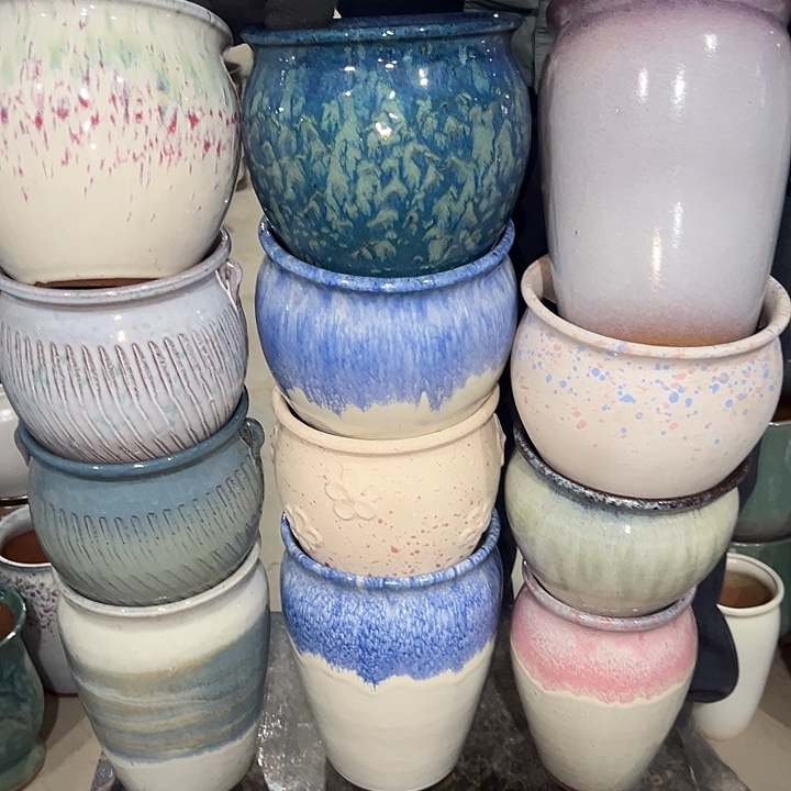 12个福利花盆元旦啦啦啦