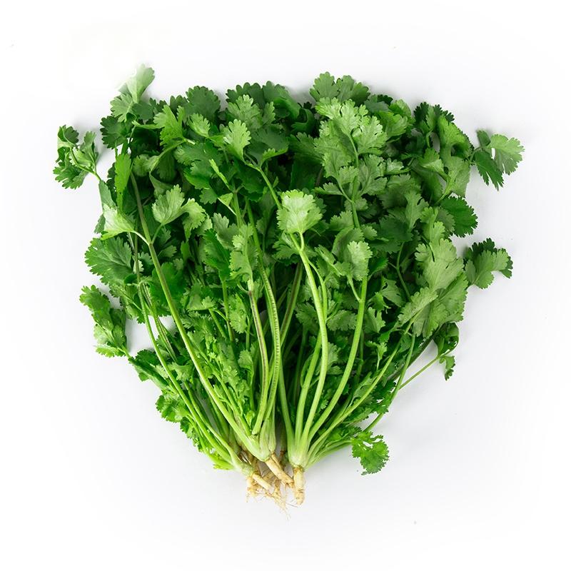 香菜100g