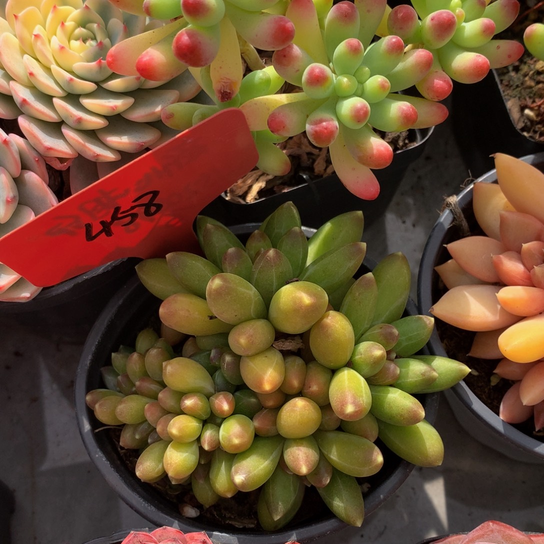 千代田6262626362627