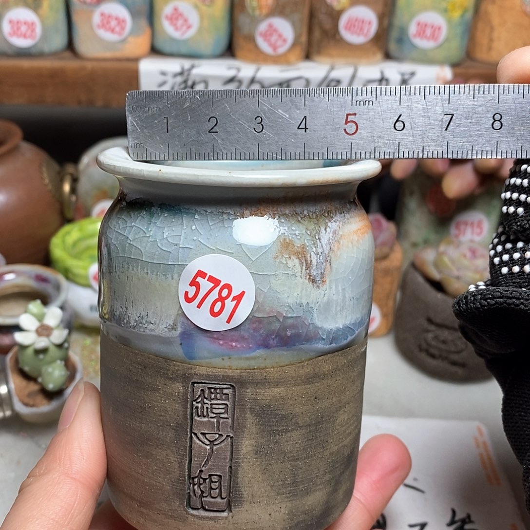 红陶拍5送一个小