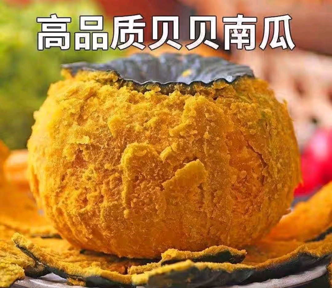 惠和栗香沙地贝贝南瓜新鲜采摘粉糯香甜适合孕妇宝宝辅食