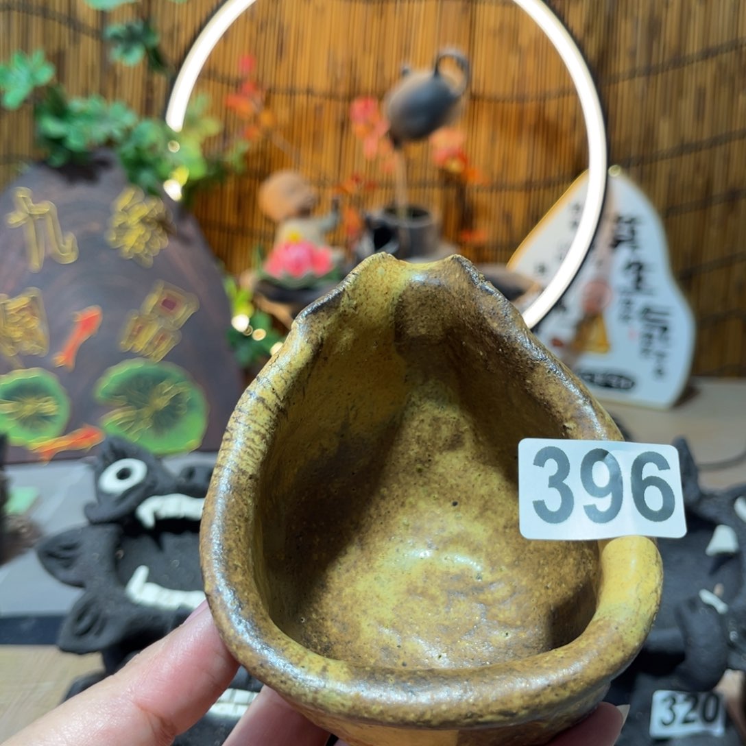 木村信弘柴烧保平