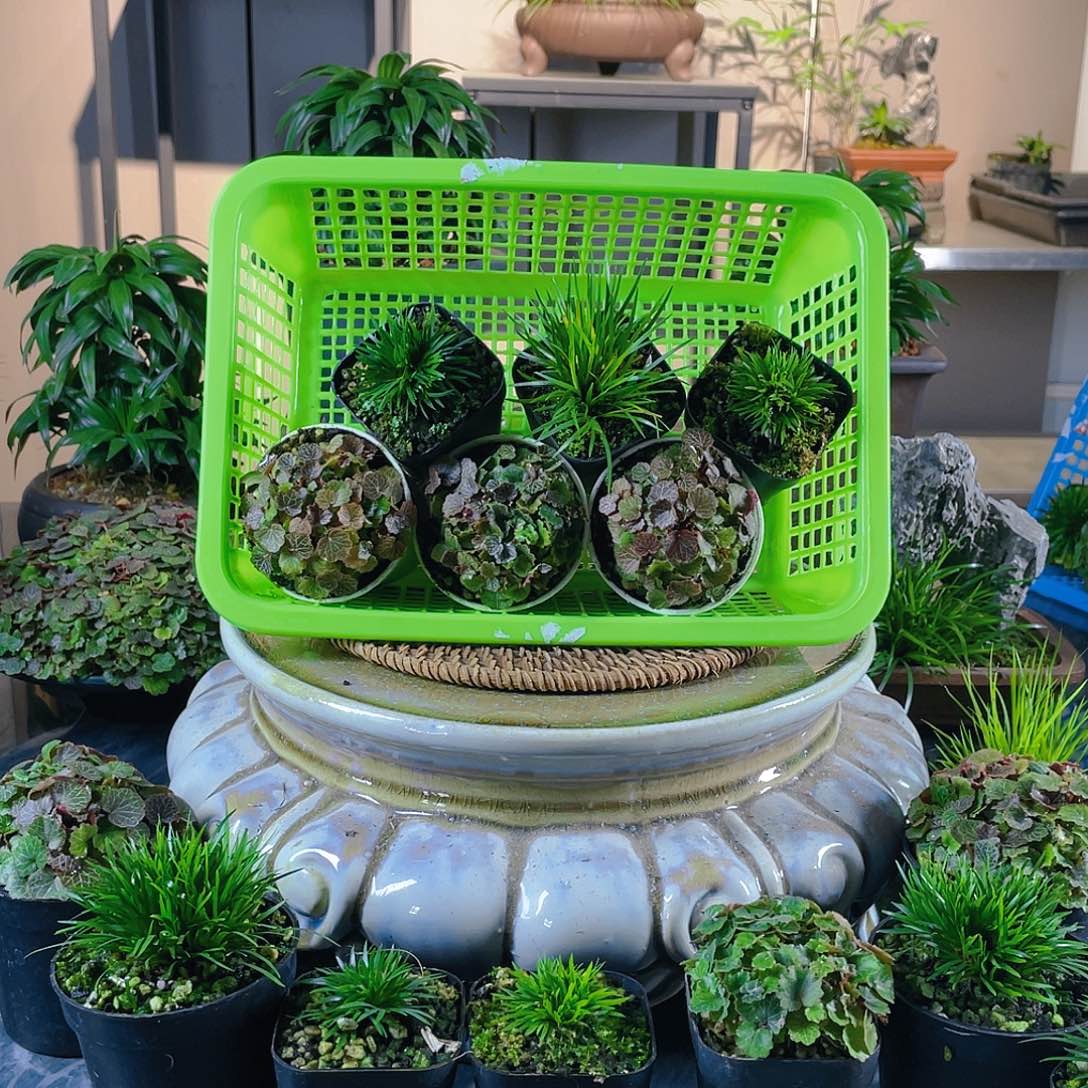 【闪购商品】完全开放