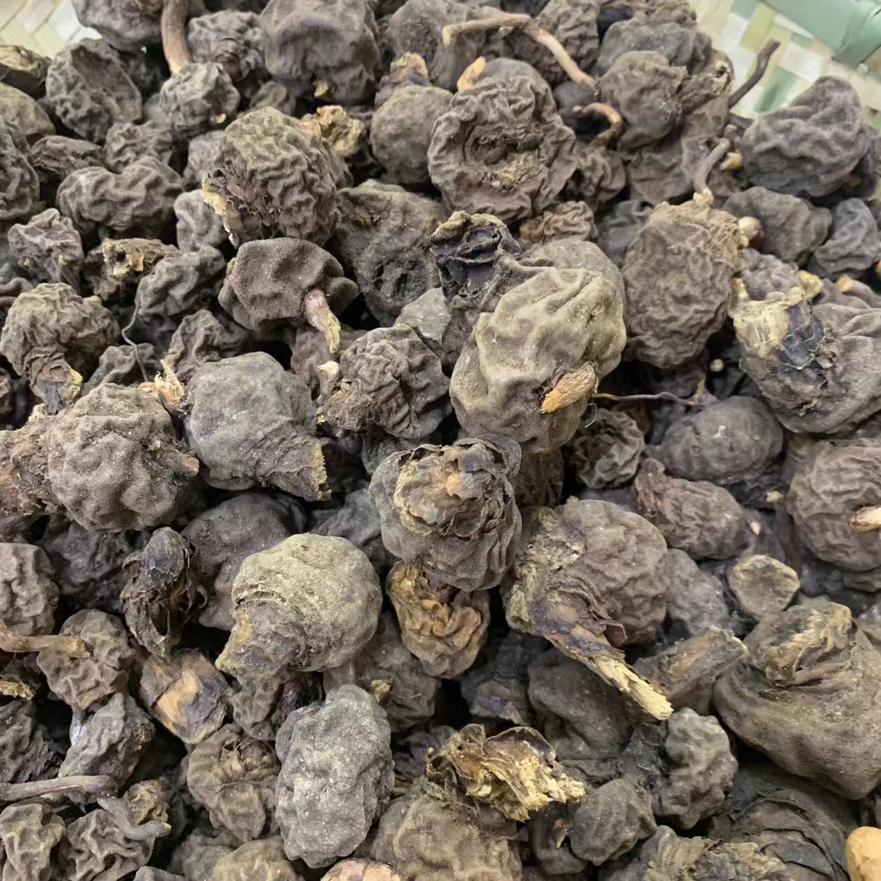 千金参【袁瑞泽推荐】=