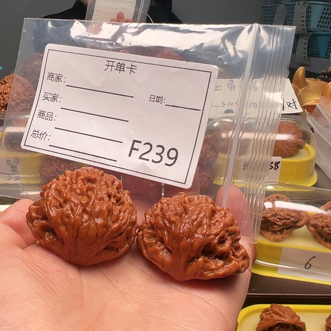 蛇王蛇王蛇王蛇王40