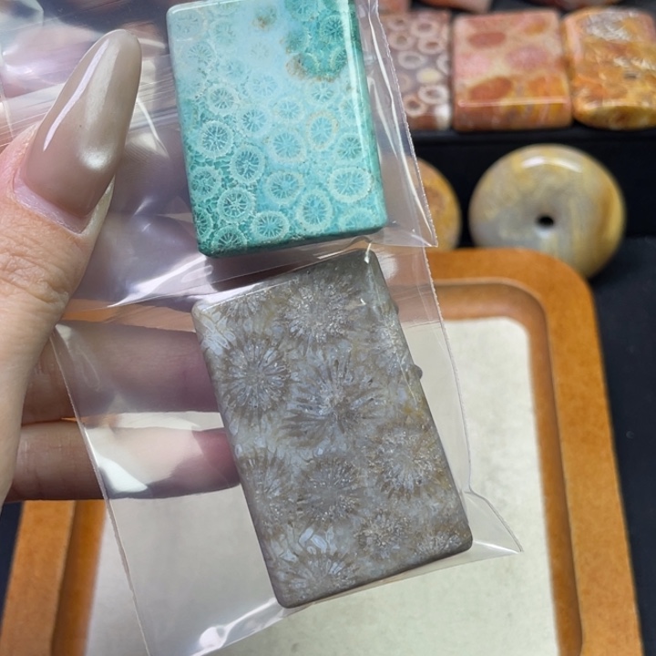 未镶嵌吊坠硅化珊瑚（珊瑚玉）