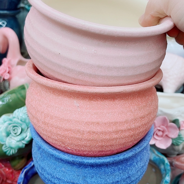 多肉植物陶瓷花盆