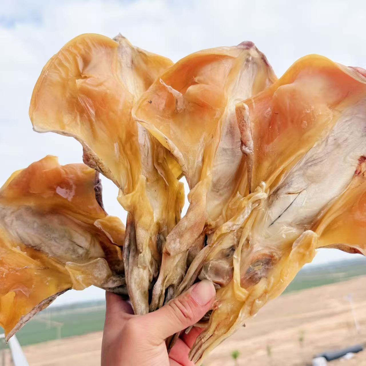 【新货】湛江铁船吊晒墨鱼干高品质淡干墨鱼煲汤湛江特产墨鱼批发