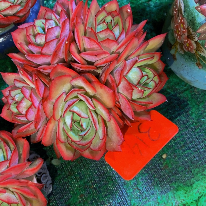 这个点吃的啥也不能