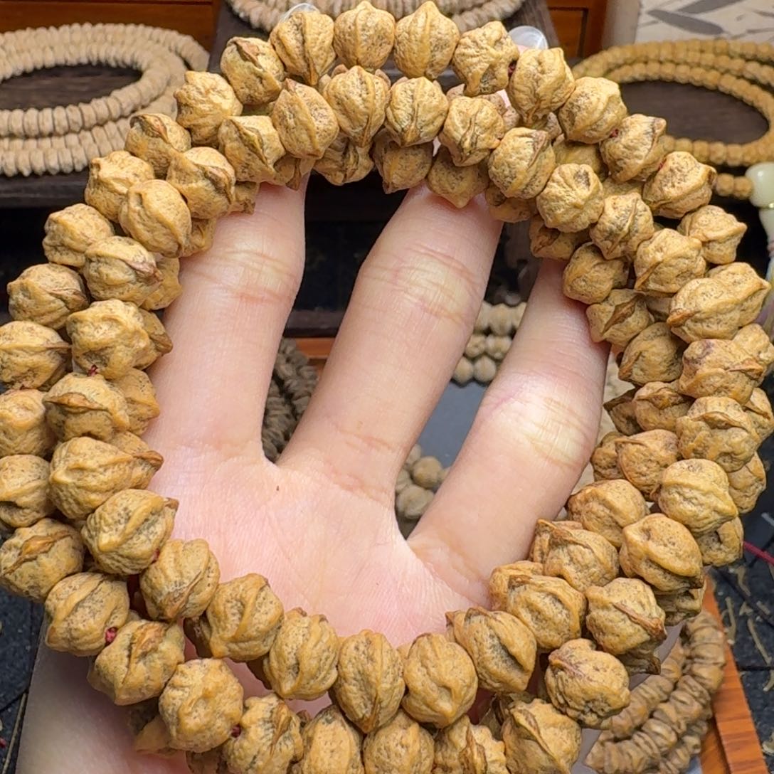 手串柏香籽/百香籽原桩红芽