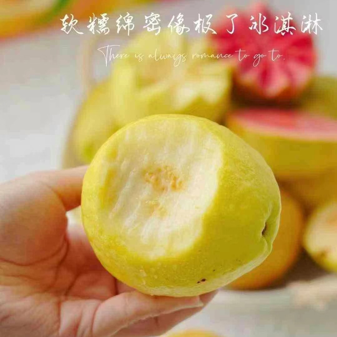 【树上熟奶油芭乐3.5-4斤毛重】软糯香甜同城送货上门