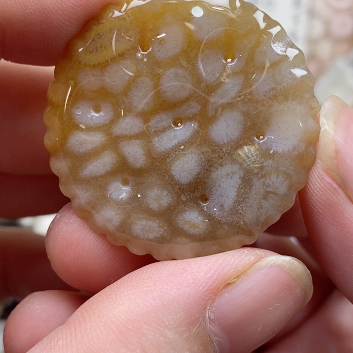 颈饰未镶嵌硅化珊瑚（珊瑚玉）