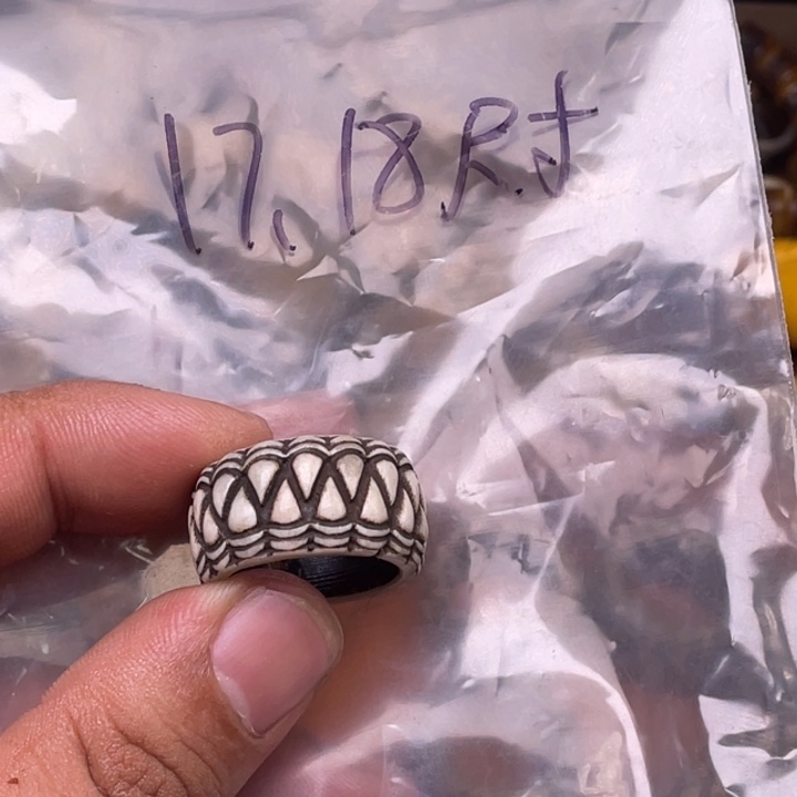 驼骨其他人工养殖