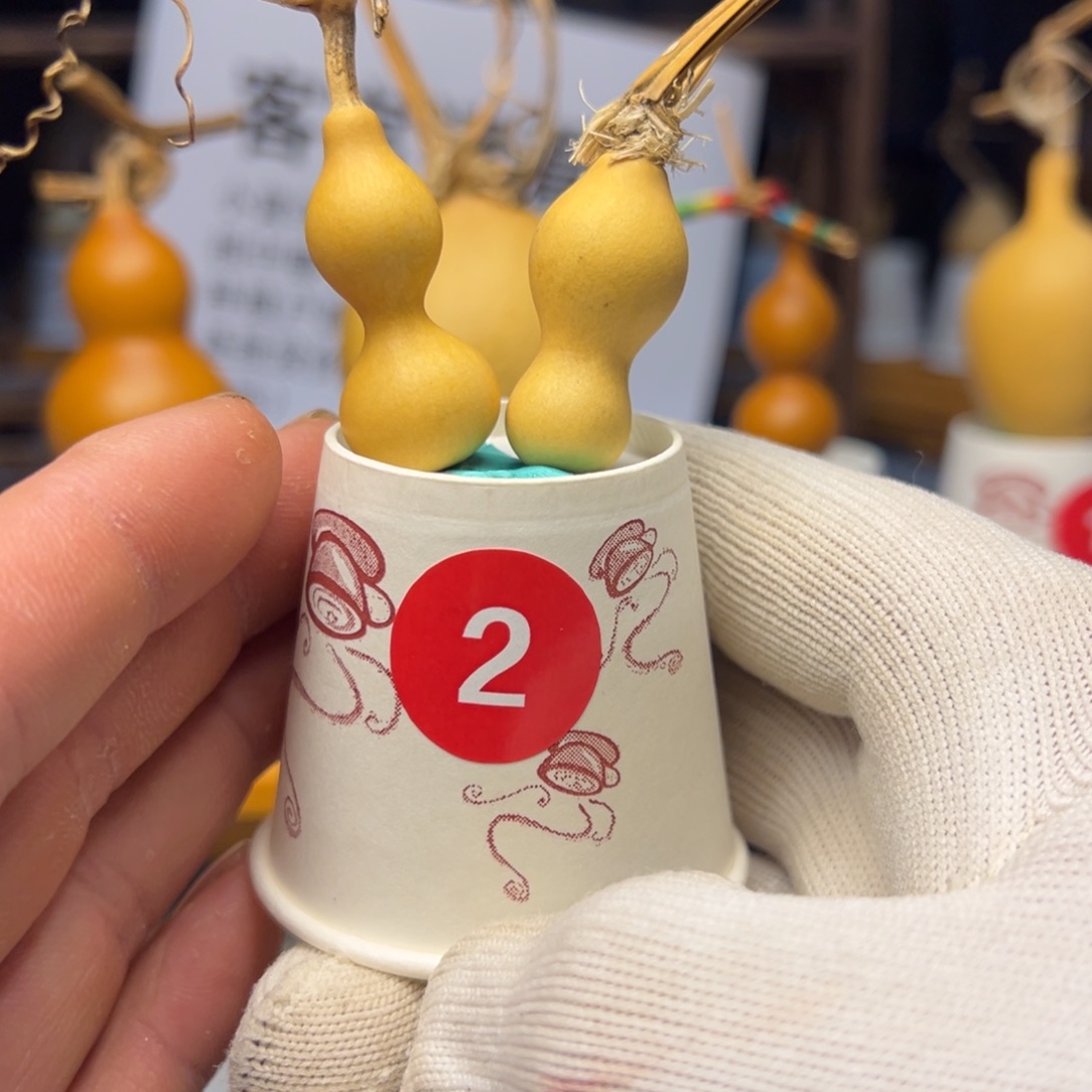 闪电购自助下单编号02