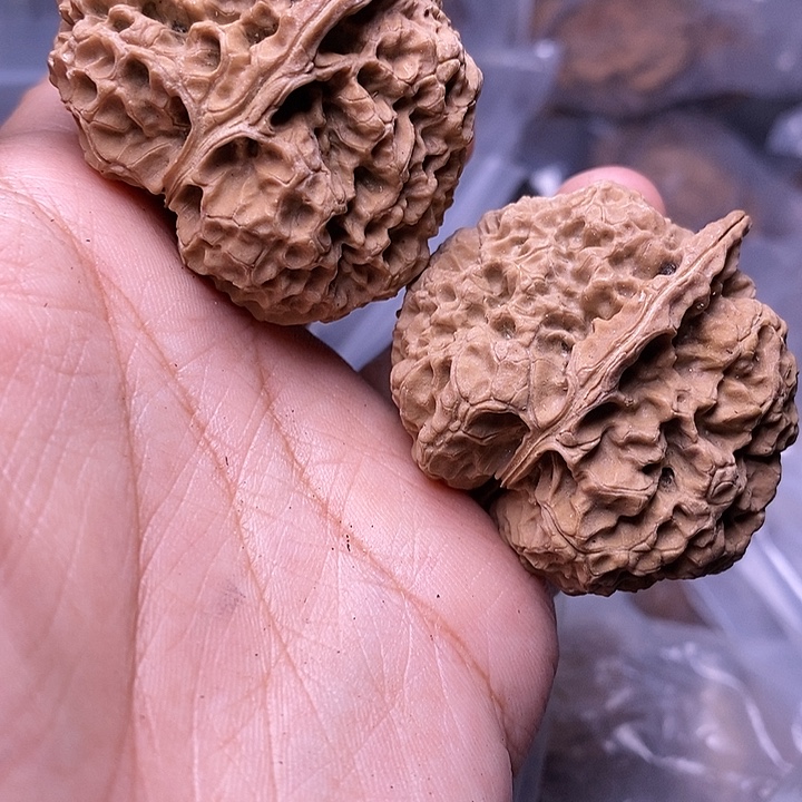 文玩核桃把件   220