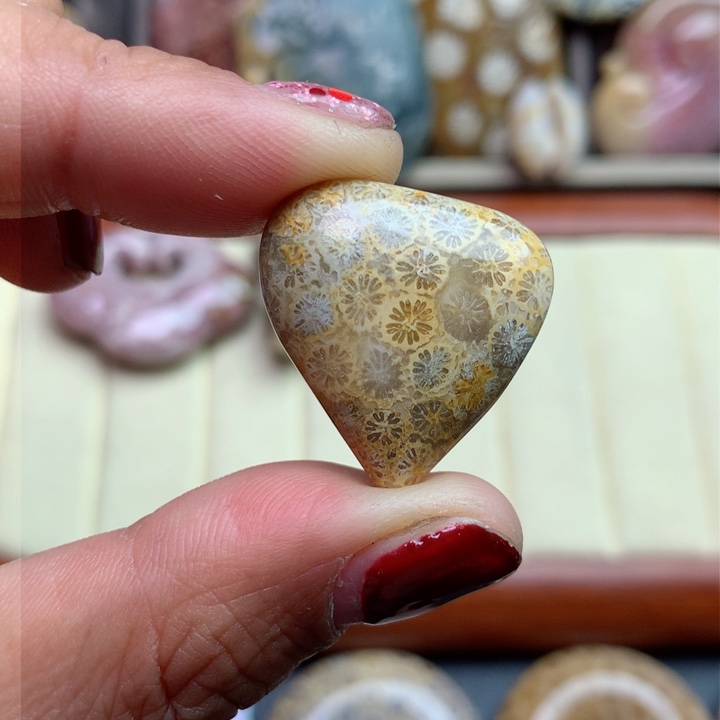 硅化珊瑚（珊瑚玉）颈饰未镶嵌